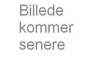 billede-kommer-senere
